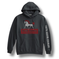 Faith Haven Stables: Super Weight  Adult/Youth Hoodie with Sleeve Accent in Silver Glitter