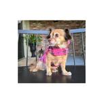Reversible Fleece Lined Puffer Dog Coat - Pink Plaid